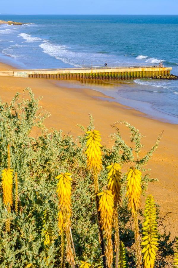 Beach Studio In Albufeira'S Old Town エクステリア 写真